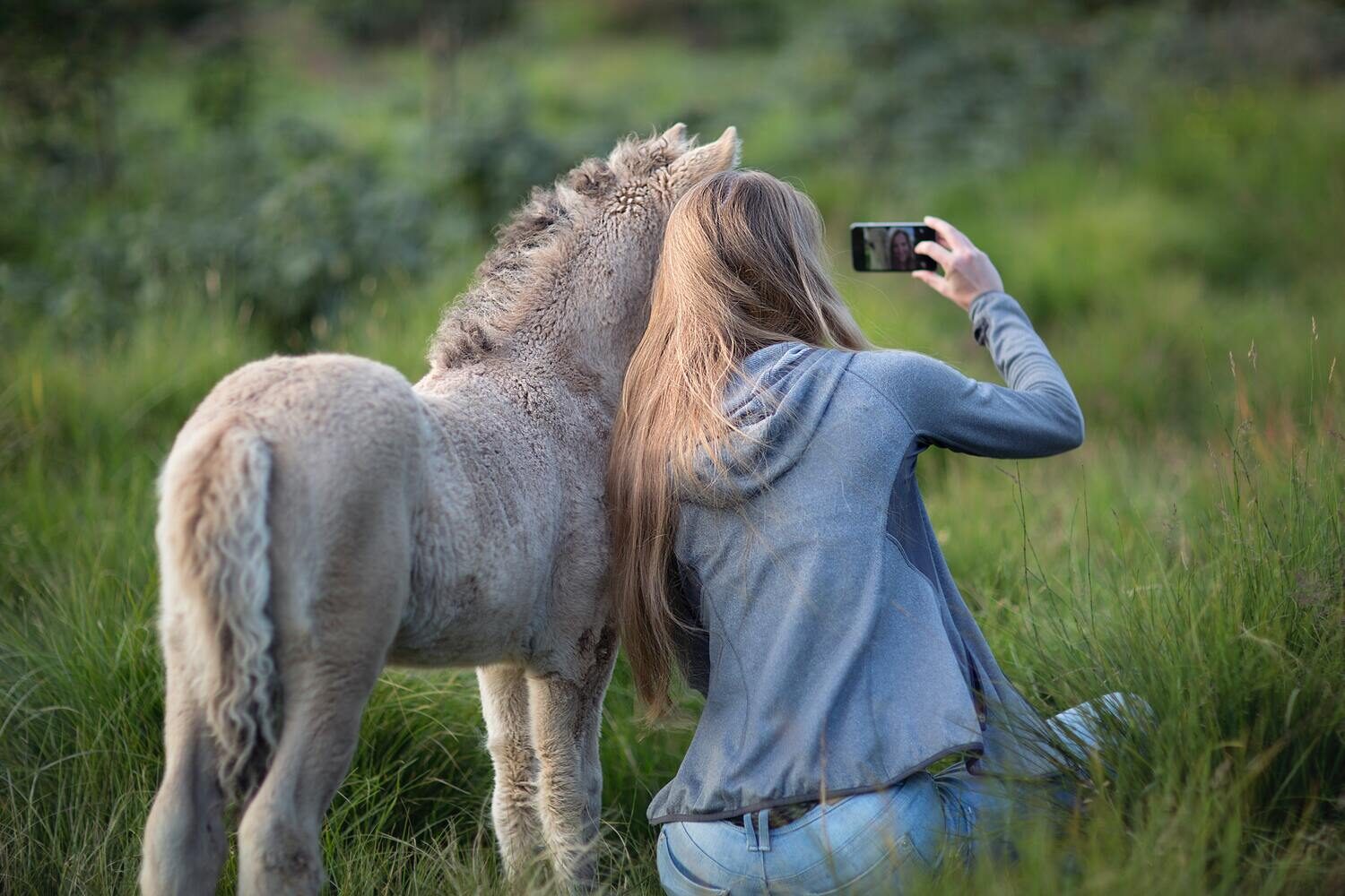 Lernen mit dem Pferd