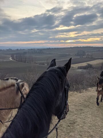 Ausritt mit Blick ins schöne Pulkauthal