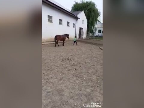 Chester lässt sich von den Kleinsten führen