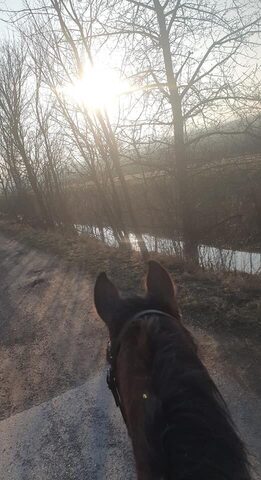 Der Frühling kündigt sich an
