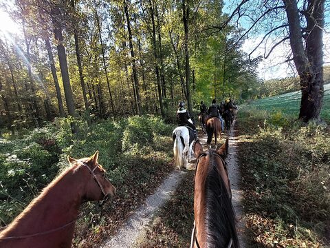 Hubertusritt mit Gunny und Bozo