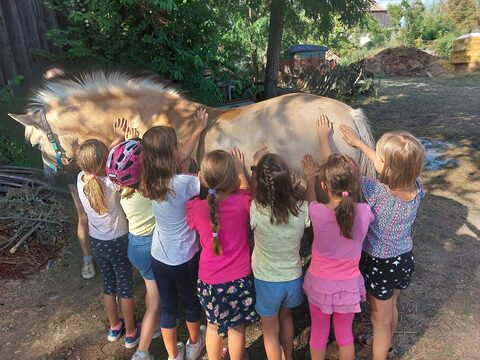 Kindergeburtstag im Pferdestall
