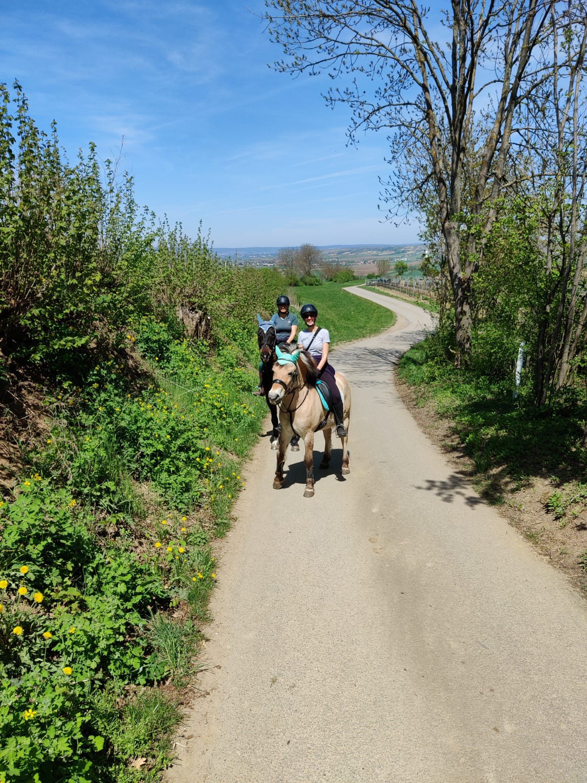 Foto zum Beitrag: Muttertagsritt von Untermarkersdorf nach Guntersdorf und wieder zurück