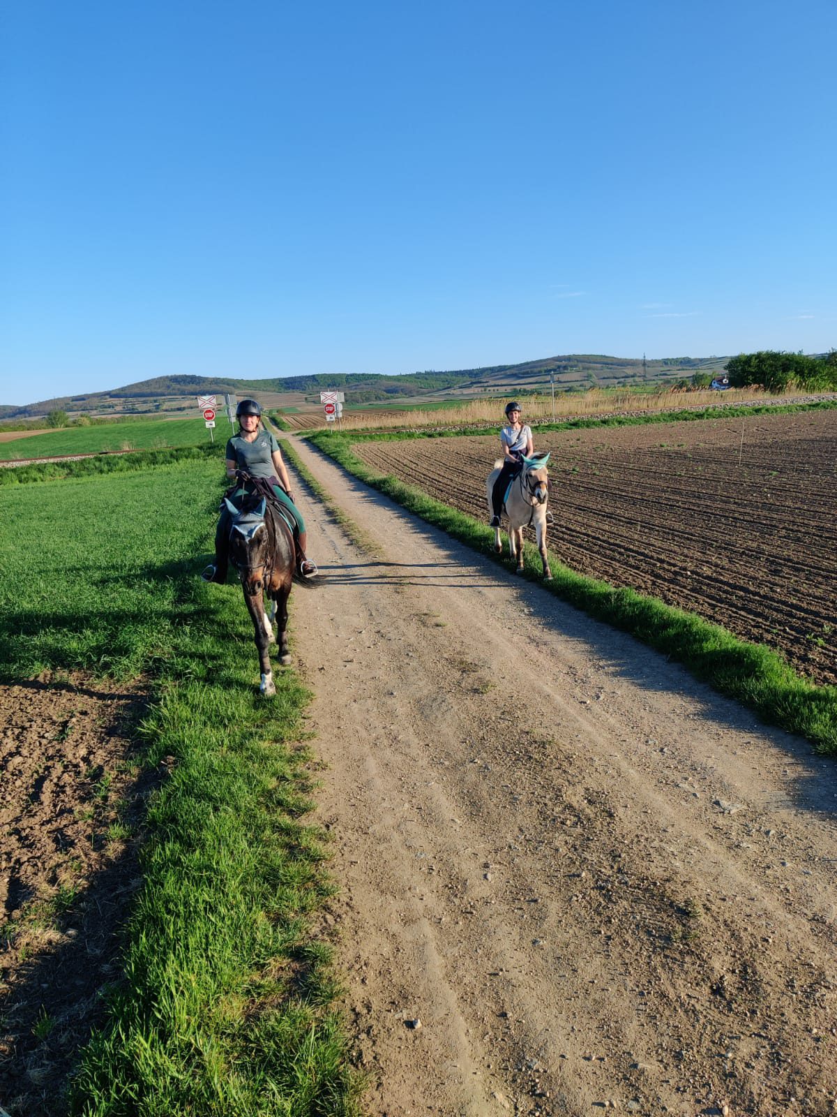 Foto zum Beitrag: Muttertagsritt von Untermarkersdorf nach Guntersdorf und wieder zurück