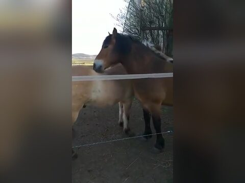 Ostern mit dem Kasteni-Team 2022