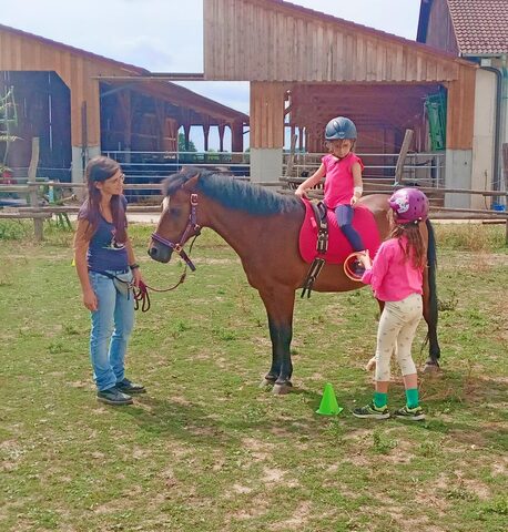 Pony-Abenteuer im Sommer 2022