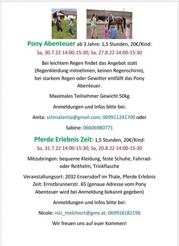 Sommer im Pferdestall