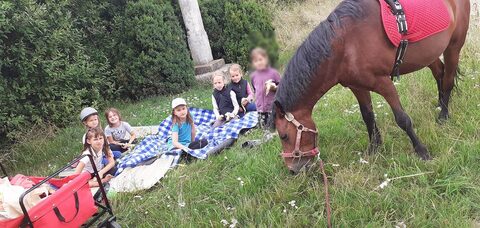 Sommerliches Picknick mit Chester