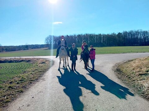 Sonnige Reitstunde