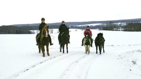 Spirit und Chester im Schnee