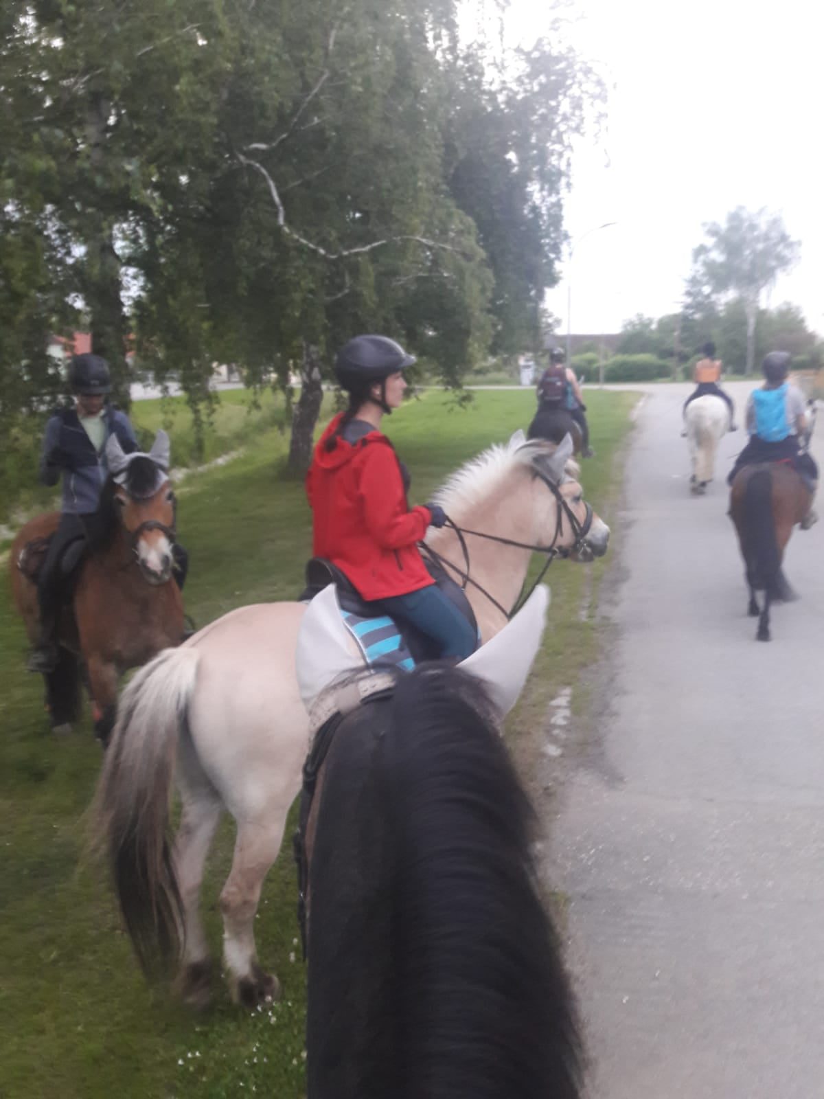 Foto zum Beitrag: Tagesritt von Untermarkersdorf nach Enzersdorf im Thale