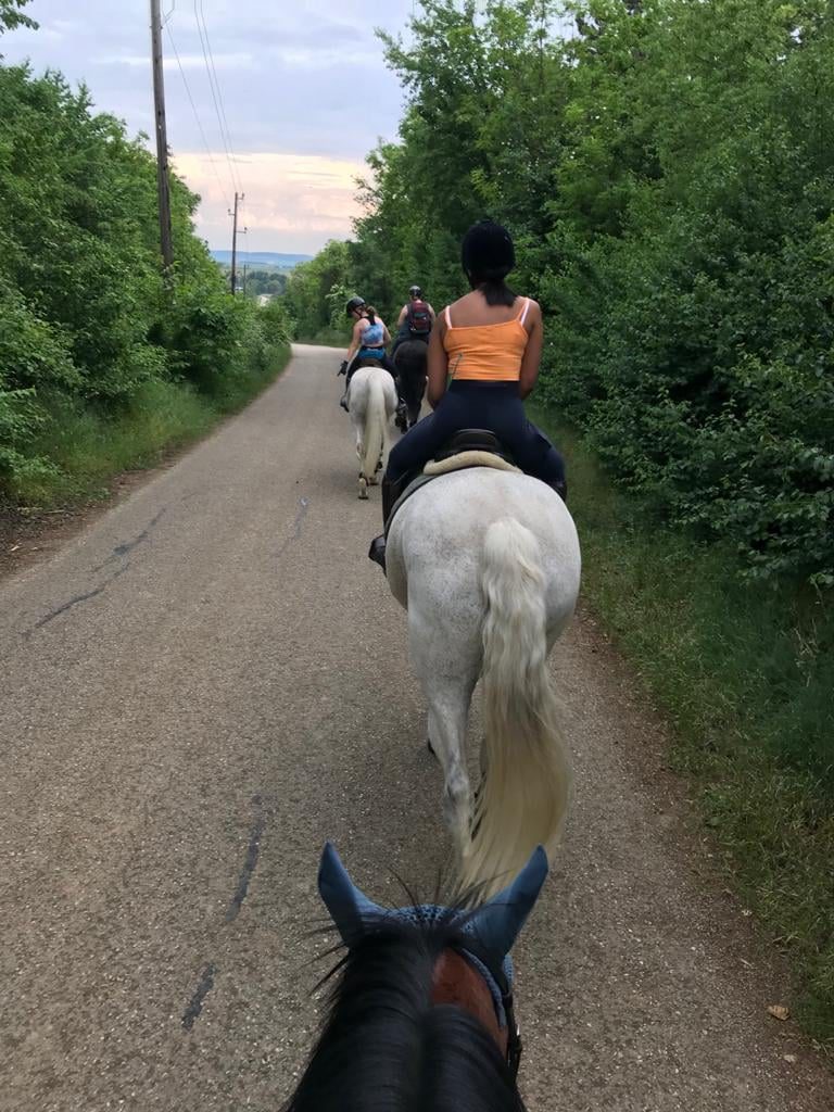 Foto zum Beitrag: Tagesritt von Untermarkersdorf nach Enzersdorf im Thale