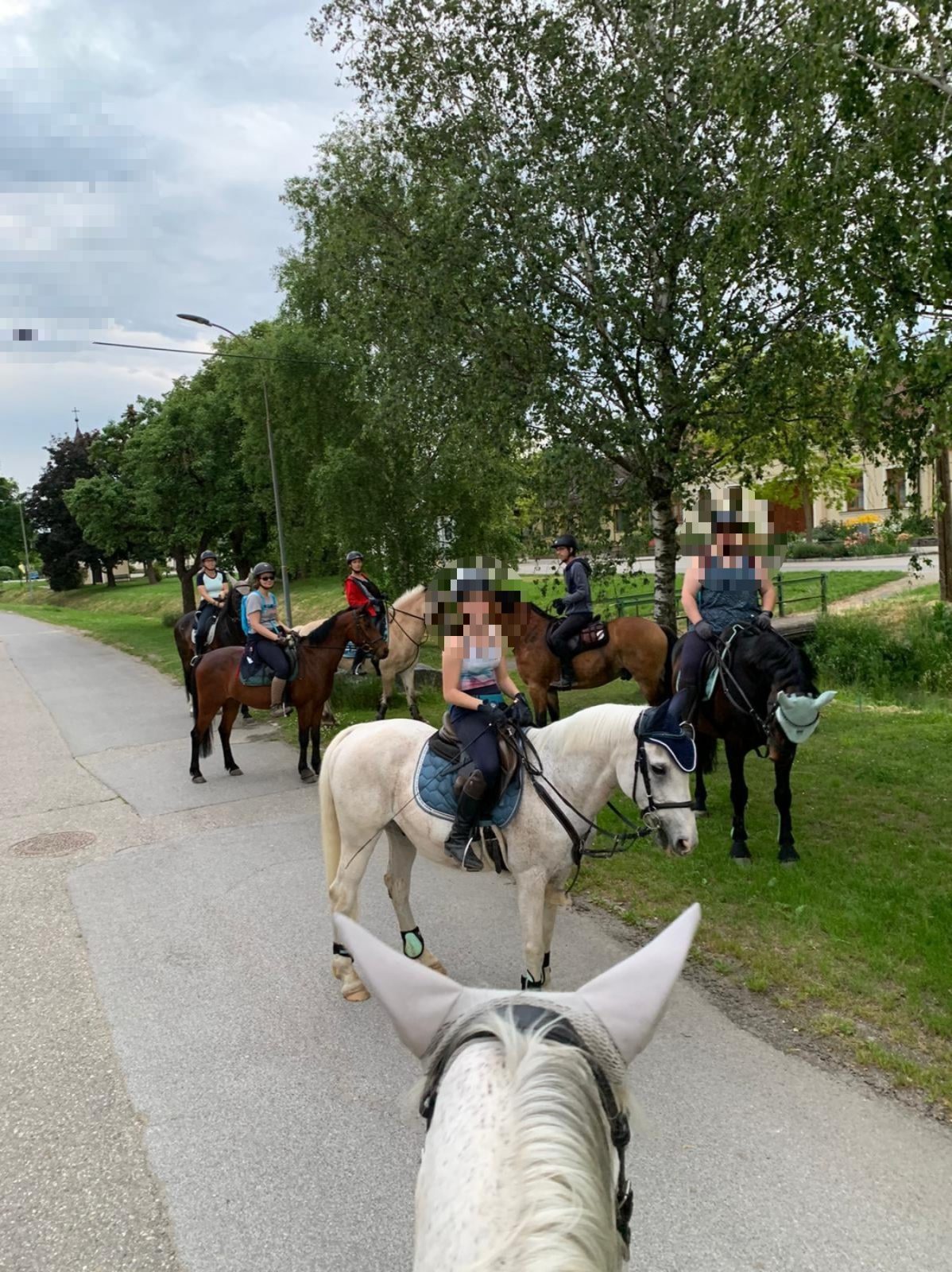 Foto zum Beitrag: Tagesritt von Untermarkersdorf nach Enzersdorf im Thale