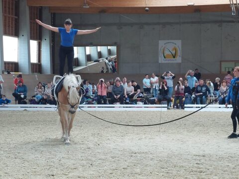 Voltigierturnier in Tullnerbach