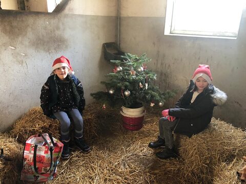 Weihnachten im Pferdestall 2023