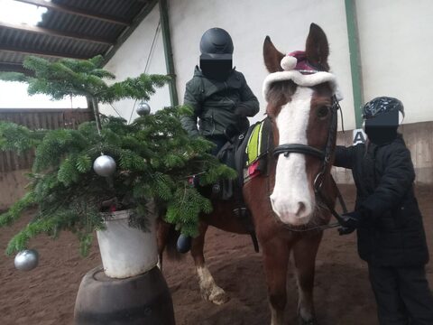 Weihnachten im Pferdestall 2024