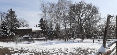 Wintereinbruch zum Frühlingsbeginn