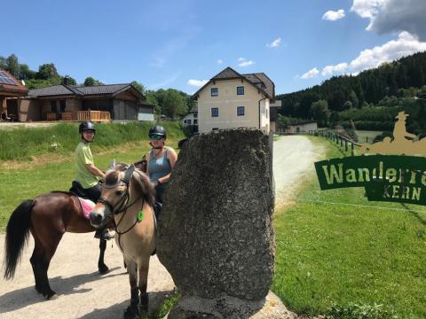 Wir machen Urlaub auf der Nordweide (2021)